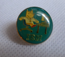 Pin's - IBM - Informatik