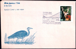 BIRDS-THE GREAT INDIAN BUSTARD- SPECIAL COVER- CACHET OF HANGING BRIDGE AT MORBI, GUJARAT- BX4-22 - Kranichvögel