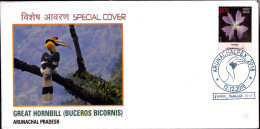 BIRDS-GREAT HORNBILL-SPECIAL COVER- INDIA- BX4-22 - Specht- & Bartvögel