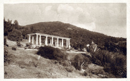 Le Mont Parin Et La Pergola Du Domaine - Rayol-Canadel-sur-Mer