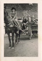 Attelage Cheval * Village Alsacien Bas Rhin Ou Haut Rhin * Femmes * Photo Ancienne 9.4x6.6cm - Teams