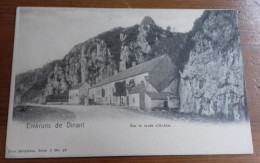 Dinant ENVIRONS DE DINANT SUR LA ROUTE D'ANHEE  UNDIVIDED BACK EARLY PC DINANT UNUSED - Dinant