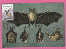 Carte Maximum - Belgique - 1987 - Chauve Souris - 1981-1990