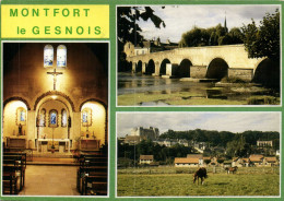 Montfort Le Gesnois "multi Vues" - Montfort Le Gesnois