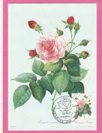 Carte Maximum - Belgique - 1989 - Rose Bengale - 1981-1990