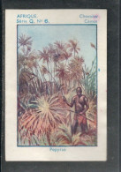 Chromo Afrique Occidentale Papyrus  Chocolat CEMOI  Bien 75 X 50 Mm  Colonies Françaises - Andere & Zonder Classificatie