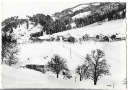 SUISSE - RIEFENSBERG - VORERTBERG - Berg