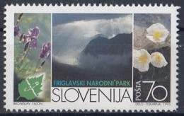 SLOVENIA 112,unused - Clima & Meteorología