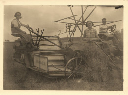 Machine Agricole MC CORMICK Mc Cormick * Thème Agriculture * Photo Ancienne 12x9cm - Tracteurs