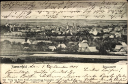 CPA Lubsko Sommerfeld In Der Niederlausitz Ostbrandenburg, Panorama - Neumark