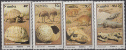 NAMIBIE - Fossiles - Fossilien