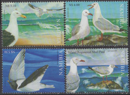 NAMIBIE - Oiseaux De Mer - Mouettes