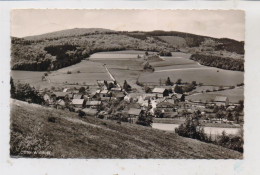 3543 DIEMELSEE - OTTLAR, Blick über Den Ort - Waldeck