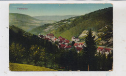 7605 BAD PETERSTAL - GRIESBACH,, Blick über Petersthal, 1914 - Bad Peterstal-Griesbach