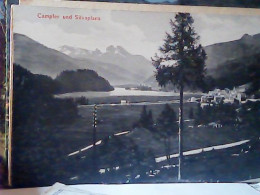 ZWITSERLAND - SWITZERLAND SUISSE CAMPFER SILVAPLANA N1920  JM1748 - Silvaplana