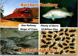 8-8-2023 (1 T 46) Australia - NT - Outback Australia - Train - Fish - Crocodile - Insects - Unclassified