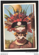 Papua New Guinea Ceremonial Headdress Of LULUAI From NEW GUINEA HIGHLANDS - Papua New Guinea