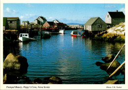 Canada Nova Scotia Peggy's Cove Tranquil Beauty - Altri & Non Classificati