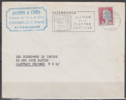 Marianne De Decaris   Sur Lettre Pub " Pommes De Terre "  De STEENBECQUE  Le 14 11 1962 Postée à HAZEBROUCK Avec Sécap - 1960 Maríanne De Decaris