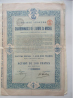 Charbonnages De L'Arbre Saint Michel - Capital 1.400.000 - Action De 200 Francs - 1909 - Mons-Crotteux Liège - Mines