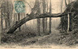 OSNY  Le Pont Du Diable - Osny