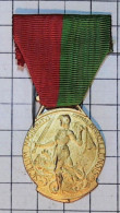 Medaille >  Sigillum Belge  > Réf:Cl Belge  Pl 3/ 5 - Bélgica