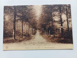 JEZUS -EIK  NOTRE -DAME-AU-BOIS  DREVEDES CAPUCINS - Overijse