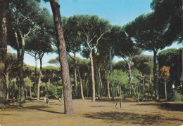 FREGENE, LA PINETA, ITALY - Parks & Gärten