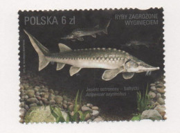 Poland, Used, 2016, Michel 4864, Fish, Fauna 002 - Otros & Sin Clasificación