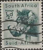 SOUTH AFRICA 1954 Wild Animals - 1/2d - Warthog FU - Used Stamps