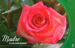Lote PEP1328.5, Cuba, Entero Postal, Postcard, Stationery, Dia De Madre, La Mas Bella Palabra, 2016 Mother's Day, 5-25 - Maximumkarten
