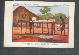 Chromo Afrique Occidentale Séchage Du Coton Chocolat CEMOI  Bien 75 X 50 Mm  Colonies Françaises - Andere & Zonder Classificatie