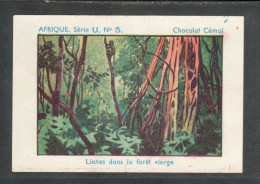 Chromo Afrique Occidentale Lianes Forêt Vierge Chocolat CEMOI  Bien 75 X 50 Mm  Colonies Françaises - Otros & Sin Clasificación