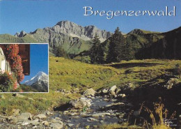 AK151499 AUSTRIA - Bregenzerwald - Bregenzerwaldorte