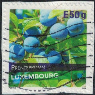 Luxembourg 2018 Oblitéré Used Variété De Prune Prënzepromm Y&T LU 2133 SU - Usati