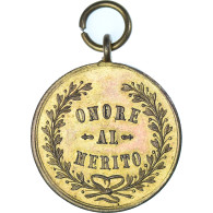 Italie, Médaille, Onore Al Merito, TTB+, Copper Gilt - Altri & Non Classificati