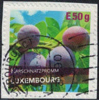 Luxembourg 2018 Oblitéré Used Fruits Karschnatzpromm Variété De Prune Y&T LU 2131 SU - Usados