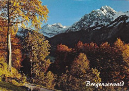 AK151549 AUSTRIA - Bregenzerwald - Bregenzerwaldorte