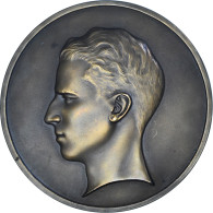 Belgique, Médaille, Le Roi Baudouin Ier, SPL, Bronze - Autres & Non Classés