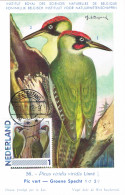 Pays-Bas - Oiseaux : Picus Viridis CM 2791-Aa-16 (année 2012) - Piciformes (pájaros Carpinteros)