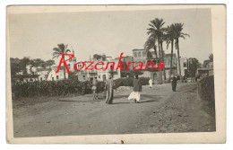 Carte Photo A Identifier Inconnu To Be Identified Canal Nile Delta Agypten Egitto Egypt CPA Carte Postale Old Postcard - Other & Unclassified