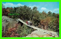 ROCK CITY, IL - SWING-ALONG BRIDGE, ROCK CITY GARDENS ATOP LOOKOUT MOUNTAIN - - Altri & Non Classificati