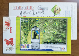 Peacock,peafowl Bird,China 2006 Gansu Telecom PHS Personal Handphone System Advertising Pre-stamped Card - Pfauen