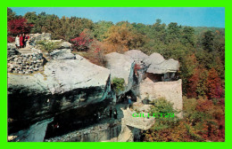 ROCK CITY, IL - OBSERVATION POINT AND UNDERCLIFF TERRACE FROM LOVER'S LEAP ROCK CITY GARDENS - - Other & Unclassified