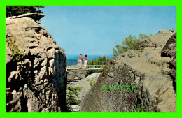 ROCK CITY, IL - ROCK FORMATIONS IN ROCK CITY GARDENS ATOP LOOKOUT MOUNTAIN - - Other & Unclassified