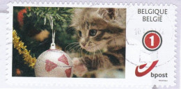 Kitten Met Kerstbal - Afgestempeld