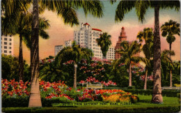 Florida Miami Hotels From Bayfront Park 1945 - Miami
