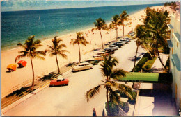 Florida Fort Lauderdale Lovely Palm Lined Beach 1959 - Fort Lauderdale