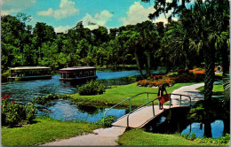 Florida Silver Springs Gardens And Glass Bottom Boats 1975 - Silver Springs