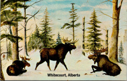 Canada Alberta Whitecourt "Moose Country" Painting By Morley White - Other & Unclassified